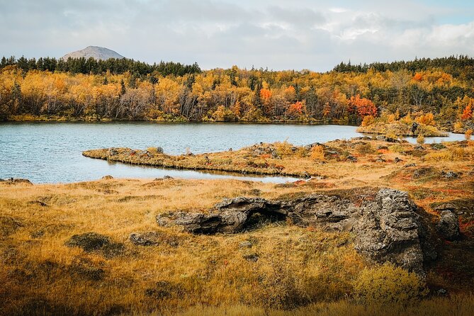 Cruise Tour Godafoss and Myvatn Lake and Baths Small Group - Key points to know before you book