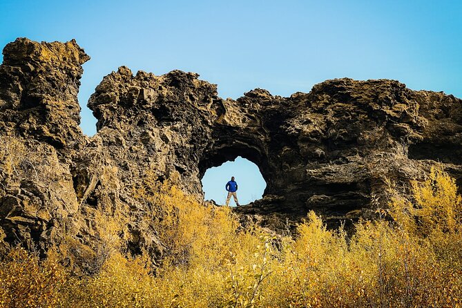Cruise Tour Godafoss and Myvatn Lake and Dettifoss Small Group - A full day from Akureyri into volcanic Iceland