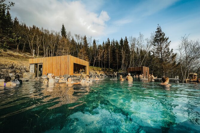 Cruise Tour Godafoss Turf Houses and Forest Baths Small Group - Who should book this tour?