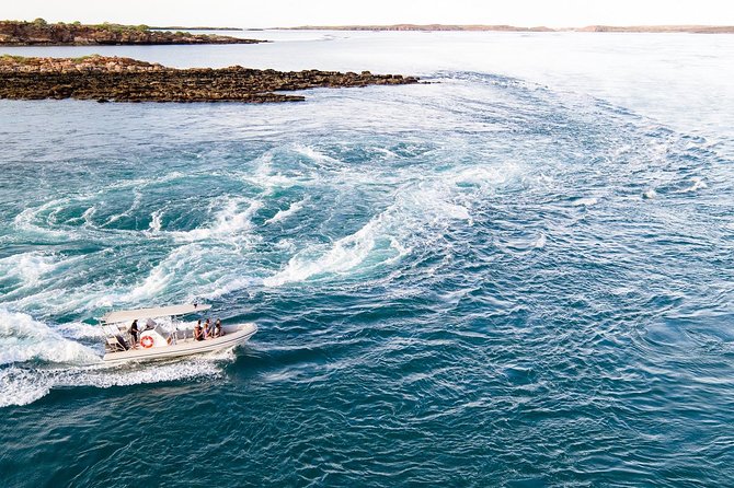 Cygnet Bay Sea Safari & Pearl Farm Tour Scenic Flight - Who will enjoy this day most?