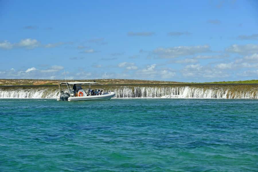 Cygnet Bay Unique Tidal Waterfall Reefs Scenic Cruise - Key points at a glance