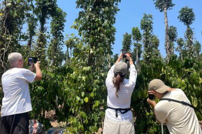Da Lat: 3 Waterfalls Tour (Datanla – Elephant – Pongour)