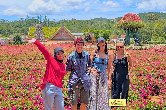 Da Lat: Half-Day Morning - Clay Tunnel, Crazy House, Datanla Fall - Clay Tunnel: sculpture, city history, and extra cost