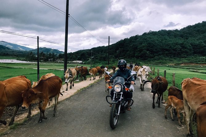 Da Lat's Countryside & Waterfalls Day Tour by Motorbike - Why a motorcycle is the right way to see Da Lat’s countryside