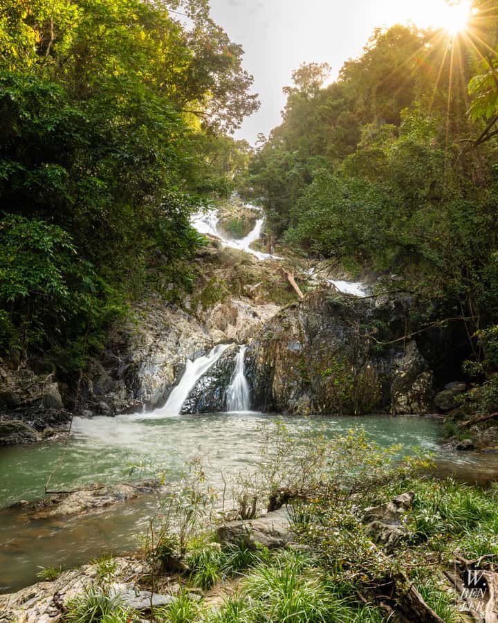 Daintree Rainforest: Waterfall Walk, Swim & Crocodile Cruise - Tropical fruit tasting with a local focus