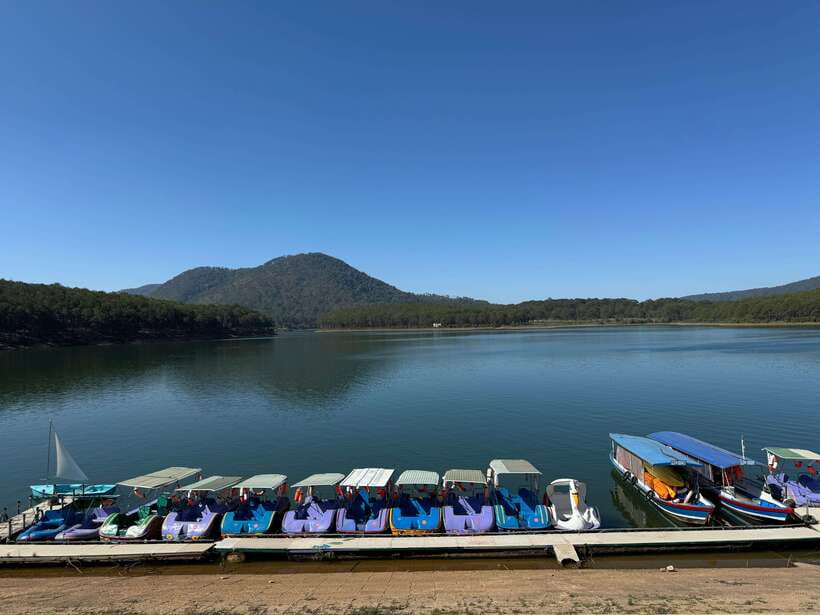 Dalat : City Tour With Local Guide - The Silent Coffee turns a café stop into a social visit
