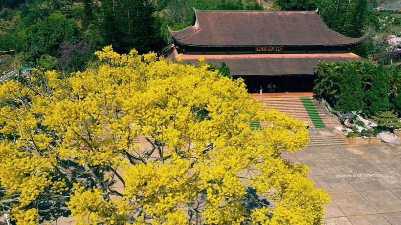 Dalat Countryside & Pongour Waterfall Tours (Small Group) - Why this Dalat day trip works