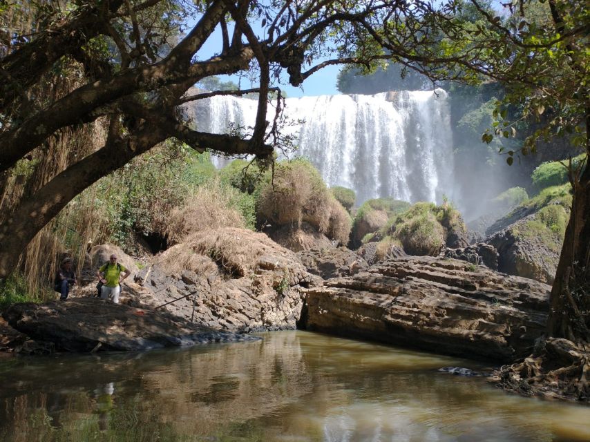 Dalat: Countryside Tour with Silk Village & Elephant Falls - Silk production from mulberry leaves to finished fabric