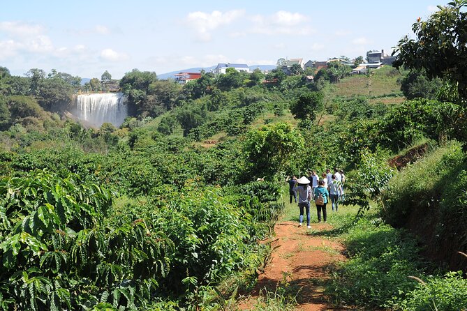 Dalat's countryside|Coffee Plantations Tour beyond Elephant falls - From fresh fruit to the coffee lab