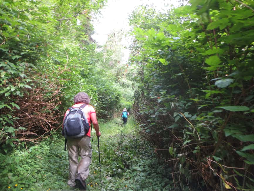 Damajagua: 27 Waterfalls Tour with Entrance Fee & Lunch - The 27 waterfalls question deserves an answer