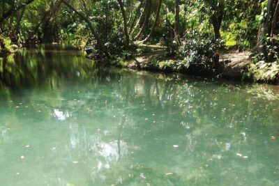 Damajagua The 7 waterfalls excursion – Amber Cove & Taino bay