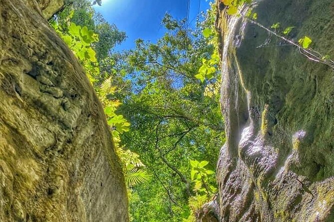 Damajagua The 7 waterfalls excursion - Amber Cove & Taino bay - Why the safety setup matters