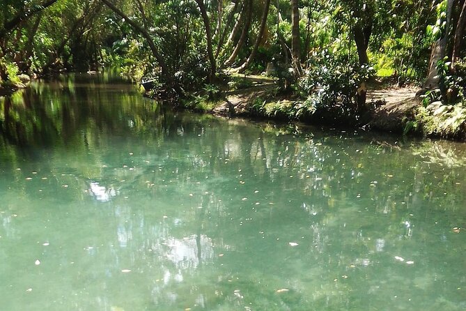 Damajagua The 7 waterfalls excursion - Amber Cove & Taino bay - The uphill walk through the forest
