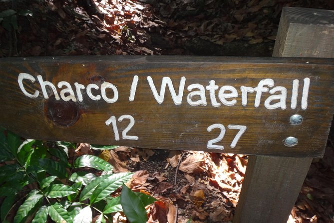 Damajagua Waterfalls for Cruise Ship Passengers - Sliding, jumping, and swimming through the falls