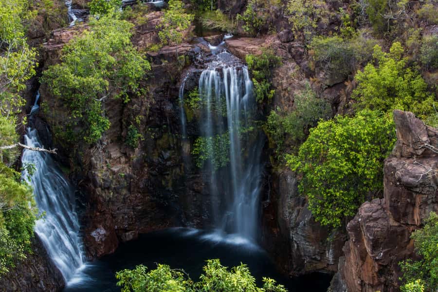 Darwin: Litchfield National Park Waterfalls & Wildlife Tour - Why this Darwin day trip works