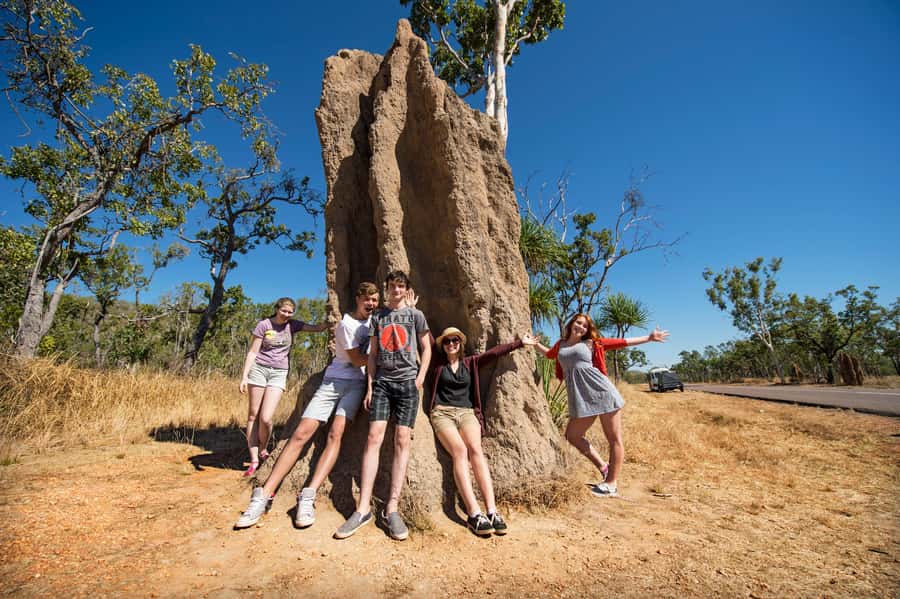Darwin: Litchfield National Park Waterfalls & Wildlife Tour - Fogg Dam offers a quieter wetland stop