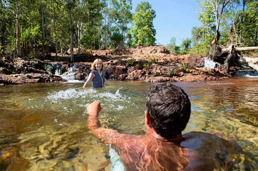 Darwin: Litchfield National Park Waterfalls & Wildlife Tour - Magnetic Termite Mounds explain the Top End