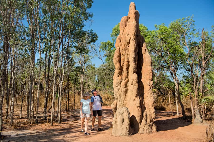 Darwin: Litchfield National Park Waterfalls & Wildlife Tour - Florence Falls is the main waterfall stop