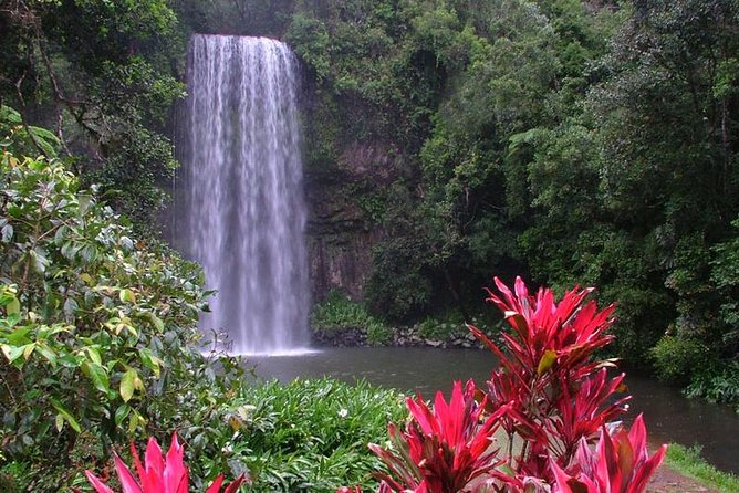Day Tour to Paronella Park, Lake Barrine and Millaa Millaa Falls - Why this tour works for a first Tablelands visit