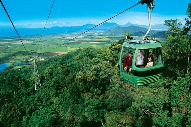 Day Tour to Paronella Park, Lake Barrine and Millaa Millaa Falls - The Curtain Fig Tree and a quick rainforest walk