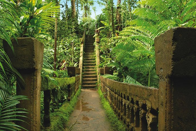 Day Tour to Paronella Park, Lake Barrine and Millaa Millaa Falls - Lunch in the Tablelands