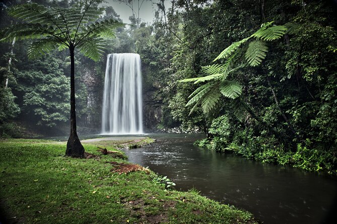 Day Tour to Paronella Park, Lake Barrine and Millaa Millaa Falls - What the $157.79 price really covers