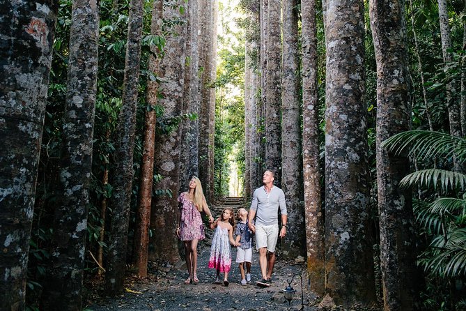 Day Tour to Paronella Park, Lake Barrine and Millaa Millaa Falls - From Cairns to the cool highlands