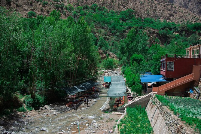 Day trip - Atlas Mountains Ourika Valley Waterfall From Marrakech - Who will enjoy this day trip?
