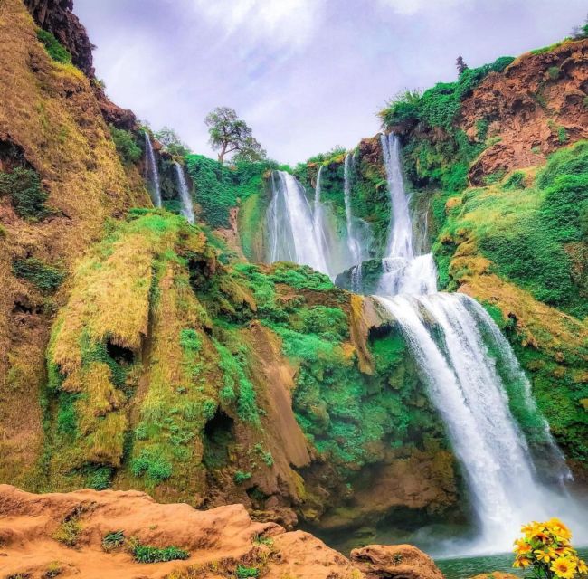 Day trip from Marrakech to Ouzoud Waterfalls - Who will enjoy this day trip