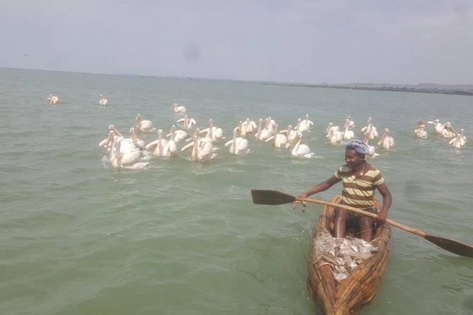 Day trip on Bahir dar. To visit lake tana monasteries and Blue Nile Falls. - Starting at 7:00 am from your accommodation