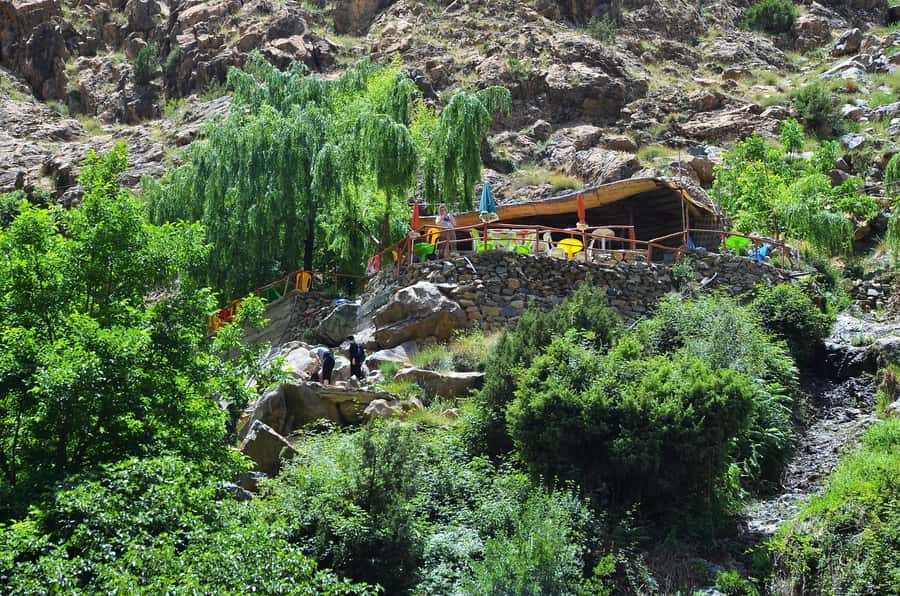 Day Trip To Ouzoud Waterfalls & Boat Ride From Marrakech - Meeting Barbary macaques in the forest