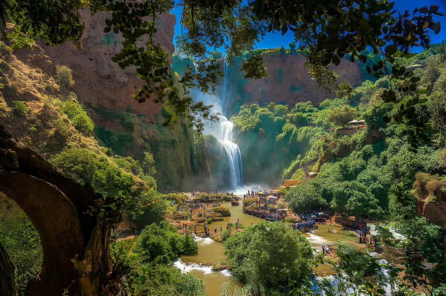 Day Trip To Ouzoud Waterfalls (Guide Hik & Boat option) - Who will enjoy this day most