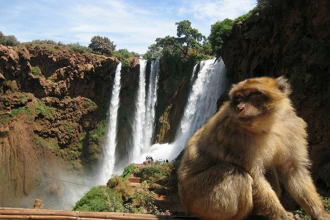 Day Trip To Ouzoud Waterfalls (Guide Hike & Boat are options) - What is included, and what costs extra