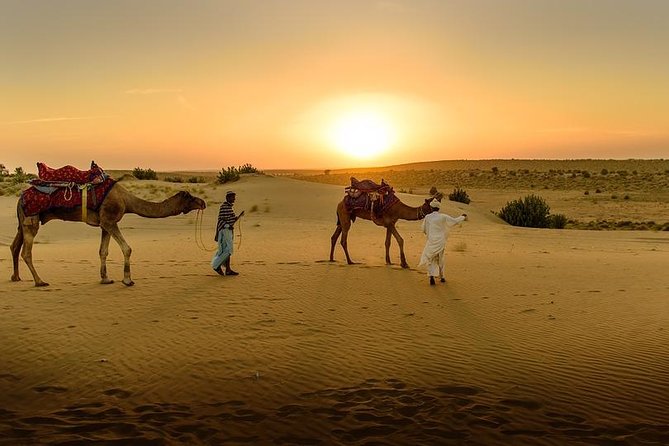 Desert Agafay & Atlas Mountains, Valleys & Waterfalls Tour from Marrakech - What the $17.38 price really buys you