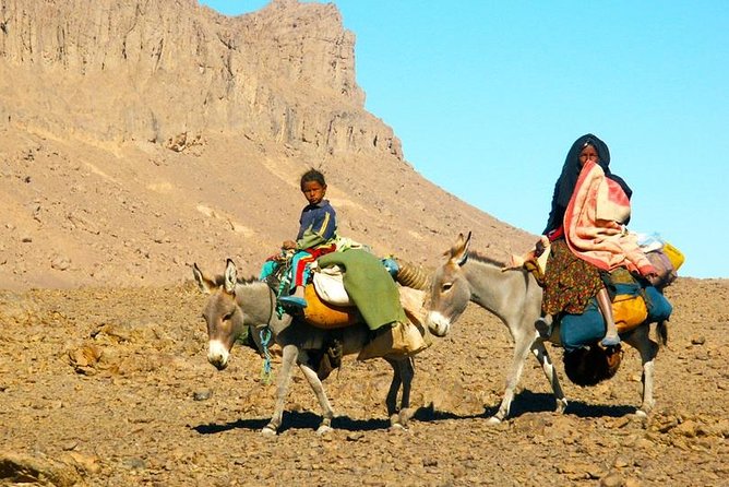 Desert Agafay & Atlas Mountains, Valleys & Waterfalls Tour from Marrakech - Who will enjoy this day most