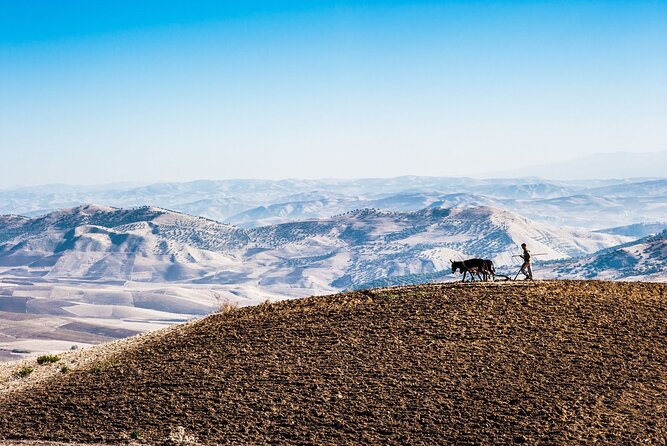 Desert Agafay & Atlas Mountains, Valleys & Waterfalls Tour from Marrakech - Berber breakfast, tea, and everyday village life