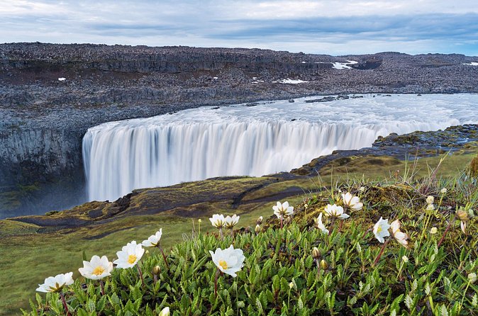 Dettifoss and Goðafoss Waterfall Small Group from Akureyri Port - Who should book this Akureyri day trip?