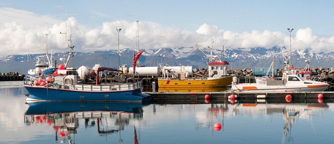 Diamond Circle Myvatn Waterfalls, and Husavik from Akureyri Tour - The essential facts before you book
