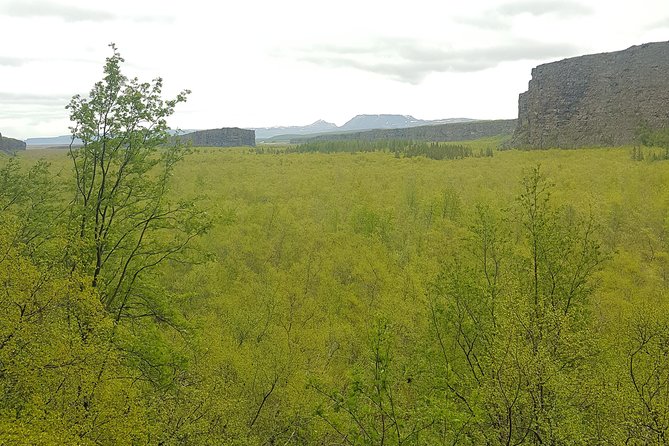 Diamond Circle, Waterfalls and Amazing Landscapes from Akureyri - Ásbyrgi and the Jökulsárgljúfur canyon country