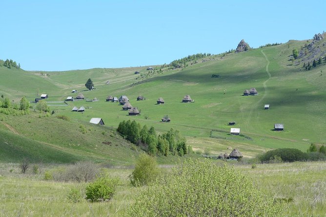 Discover Apuseni Mountains - Scarita Summit,Sipote Waterfall and Dumesti Village - Plants, fungi, and a closer look at nature