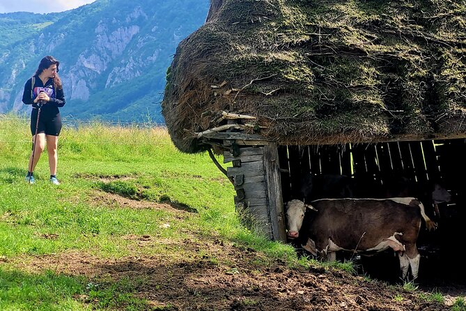 Discover Apuseni Mountains - Scarita Summit,Sipote Waterfall and Dumesti Village - Lunch, snacks, and water on the trail