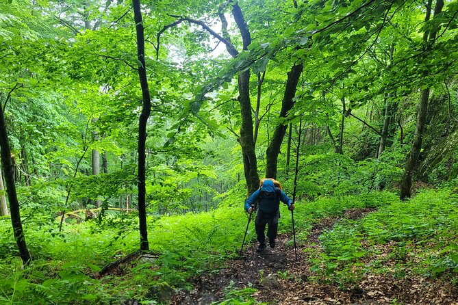 Discover Apuseni Mountains - Scarita Summit,Sipote Waterfall and Dumesti Village - What the $120.15 price buys you
