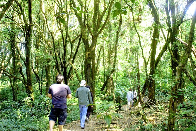 Doi Inthanon National Park, Waterfall & Royal Project Day Tour From Chiang Mai - Wachirathan Falls brings the biggest spectacle