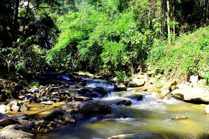 Doi Inthanon National Park, Waterfall & Royal Project Day Tour From Chiang Mai - The King and Queen Chedis are the visual highlight