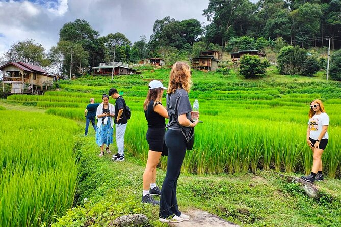 Doi Inthanon Waterfall and Royal Project Chiang Mai - Lunch in a local restaurant
