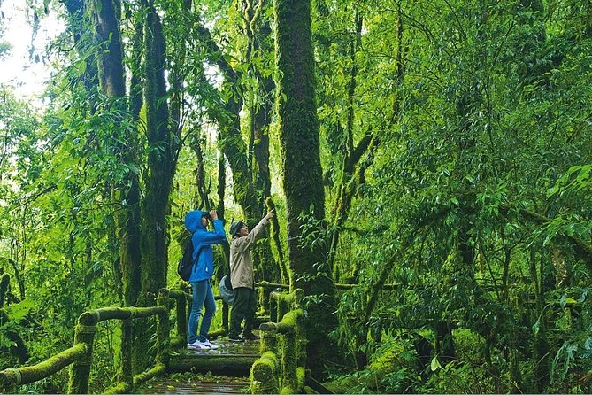 Doi Inthanon Waterfall and Royal Project Chiang Mai - Twin Royal Stupas: allow more than a photo stop