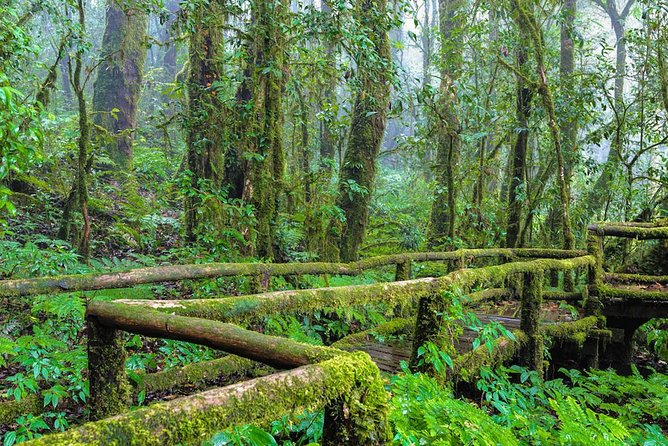 Doi Inthanon Waterfall and Royal Project Chiang Mai - Time, comfort, and the real price