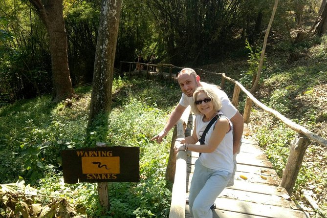 Doi Suthep Temple and Bau Thong Waterfalls Private Tour - Orchid and butterfly farm lunch