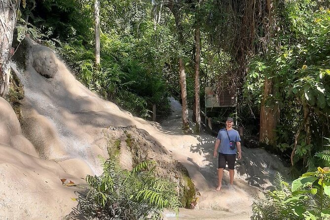 Doi Suthep Temple, Pha Lat Temple, Sticky Waterfall, Orchid farm - The orchid and butterfly farm changes the rhythm