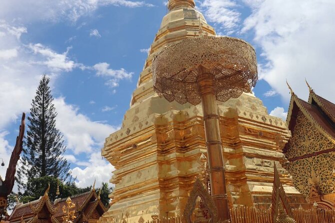Doi Suthep Temple, Pha Lat Temple, Sticky Waterfall, Orchid farm - Who will enjoy this private combination?